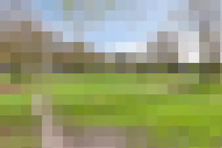 Abdijlaan 338 Uden thumbnail 33