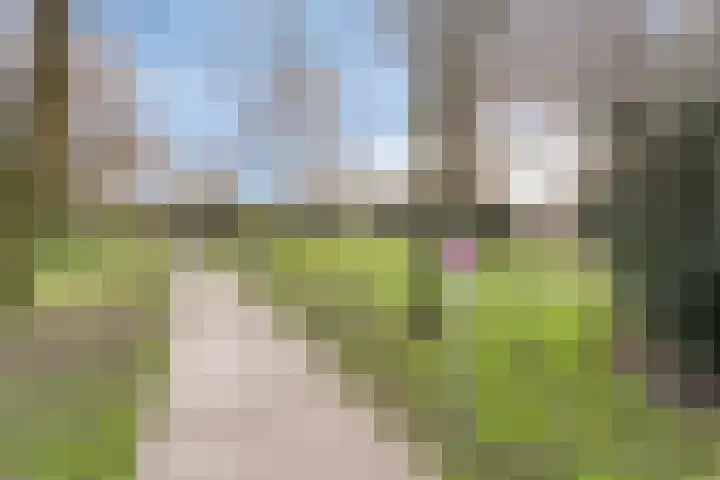 Abdijlaan 338 Uden thumbnail 34