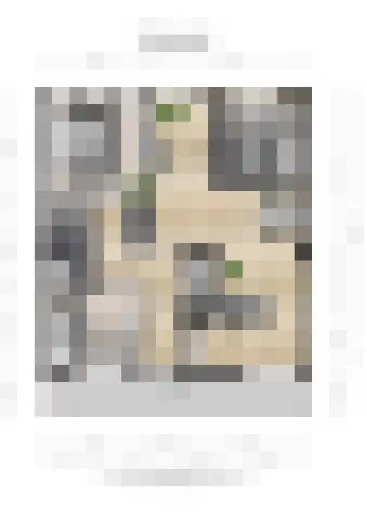 Abdijstraat 164 Breda thumbnail 31