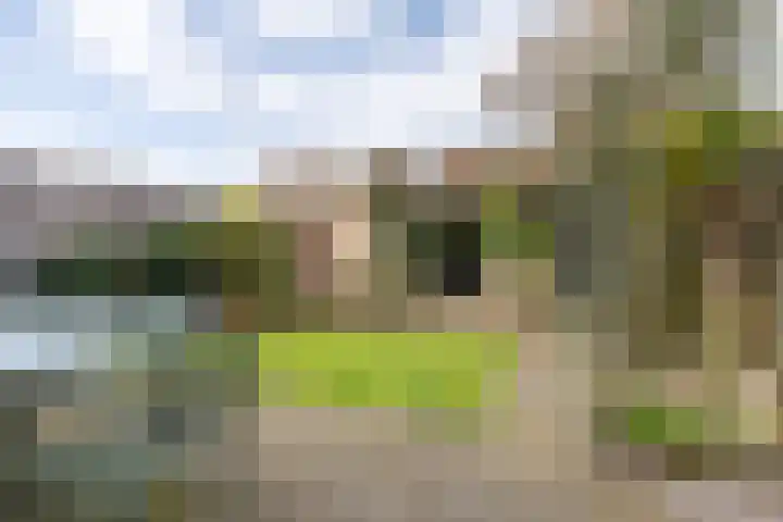 Abdijstraat 27 Breda thumbnail 38