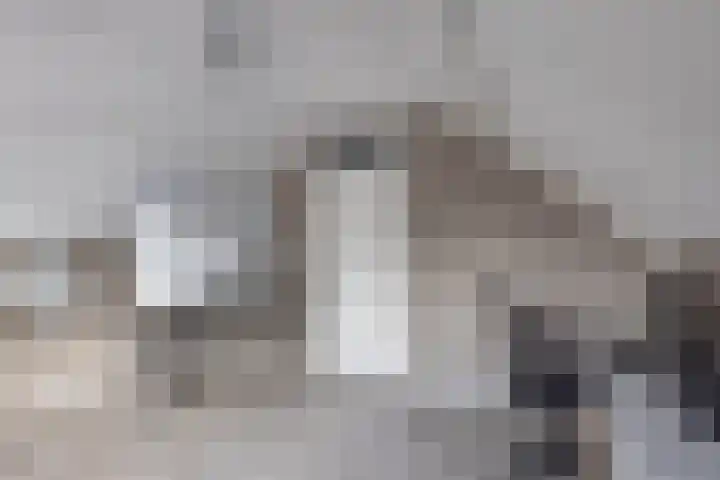 Abdijweg 4 Weerselo thumbnail 15