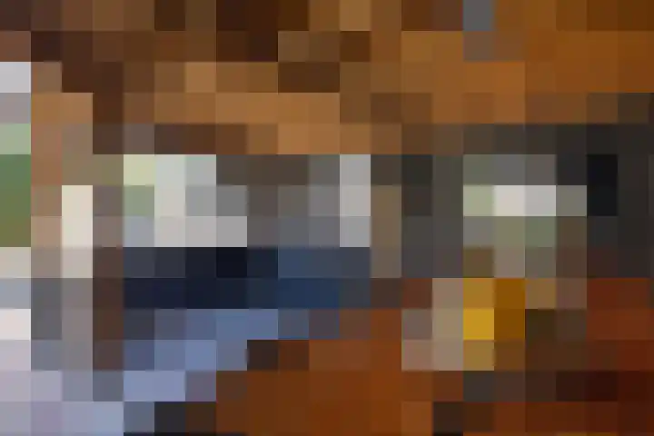 Abdijweg 4 Weerselo thumbnail 19