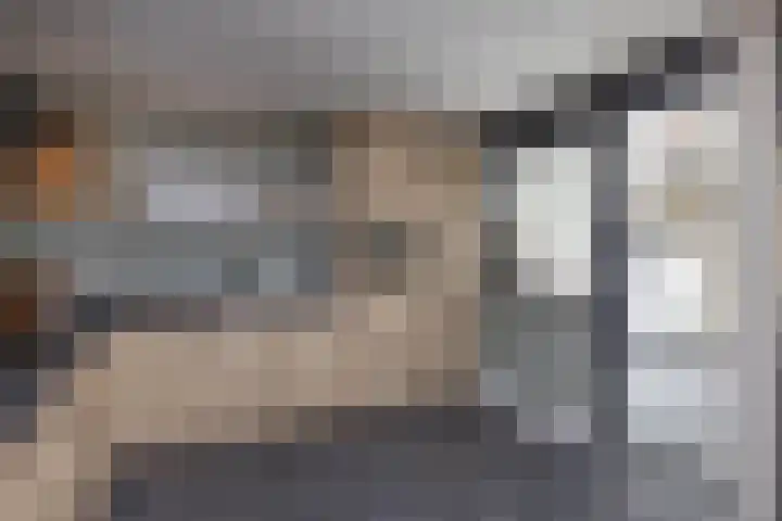 Abdijweg 4 Weerselo thumbnail 6