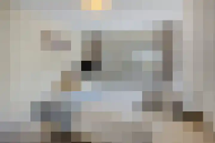 Abe Lenstrasingel 4 Rosmalen thumbnail 12