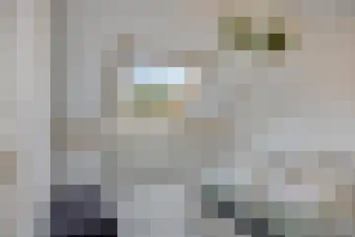 Abe Lenstrasingel 4 Rosmalen thumbnail 14