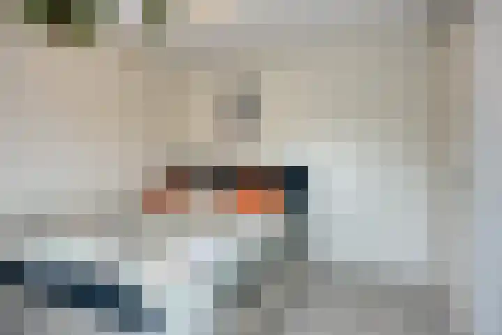 Abe Lenstrasingel 4 Rosmalen thumbnail 15