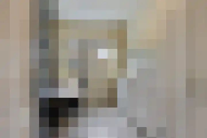 Abe Lenstrasingel 4 Rosmalen thumbnail 16