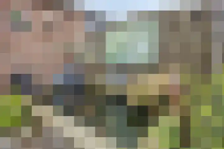 Abe Lenstrasingel 4 Rosmalen thumbnail 26