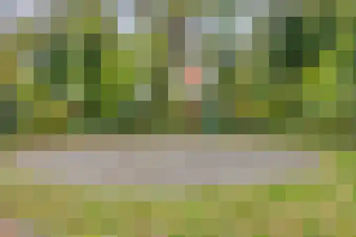 Abe Lenstrasingel 4 Rosmalen thumbnail 31