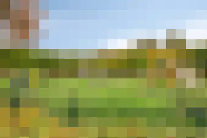 Abe Lenstrasingel 4 Rosmalen thumbnail 32