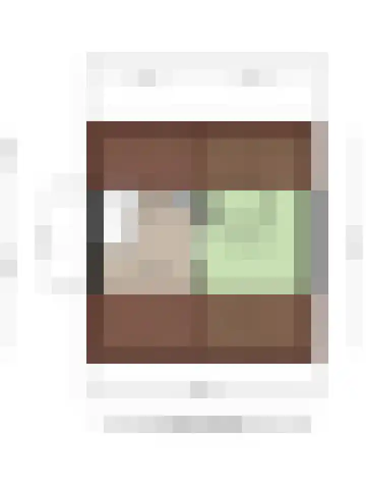 Abe Lenstrasingel 4 Rosmalen thumbnail 38