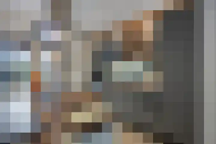Abe Lenstrasingel 4 Rosmalen thumbnail 8