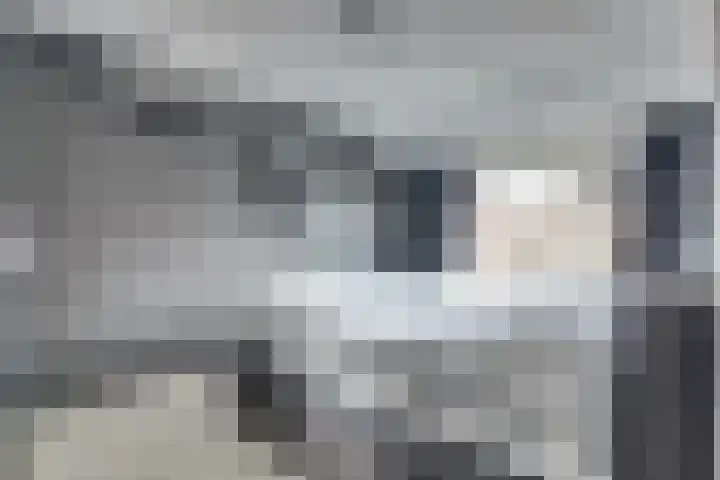 Abeelstraat 23 Monster thumbnail 10