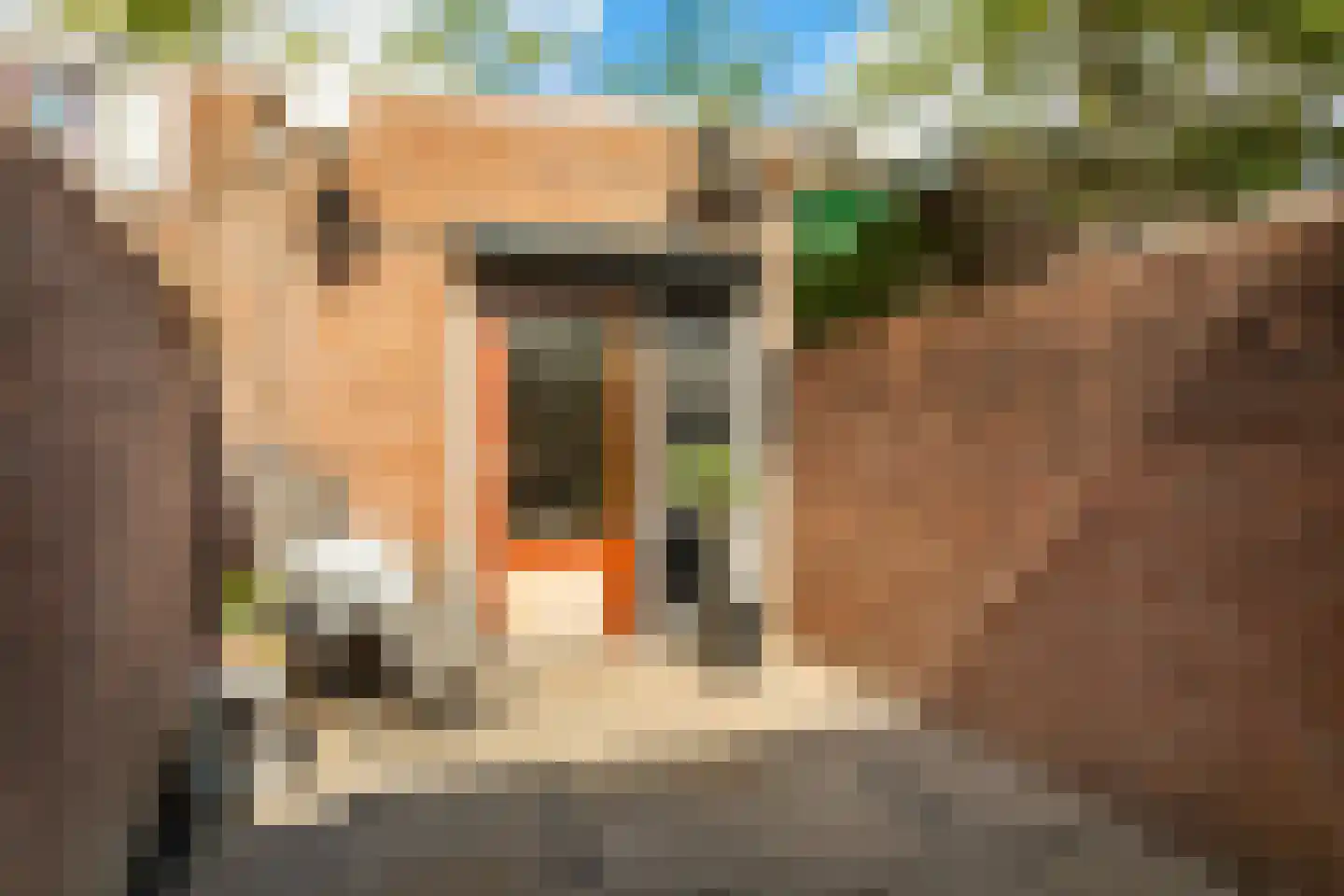 Abeelstraat 29 Breda thumbnail 22
