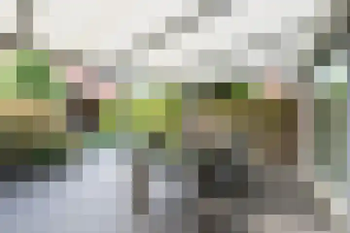 Abeelstraat 33 Echt thumbnail 18