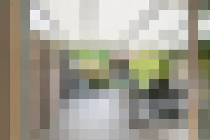 Abeelstraat 33 Echt thumbnail 19