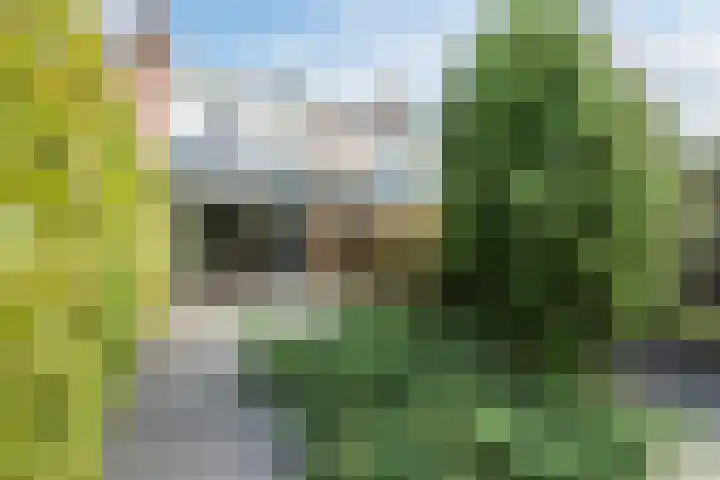 Abeelstraat 33 Echt thumbnail 22
