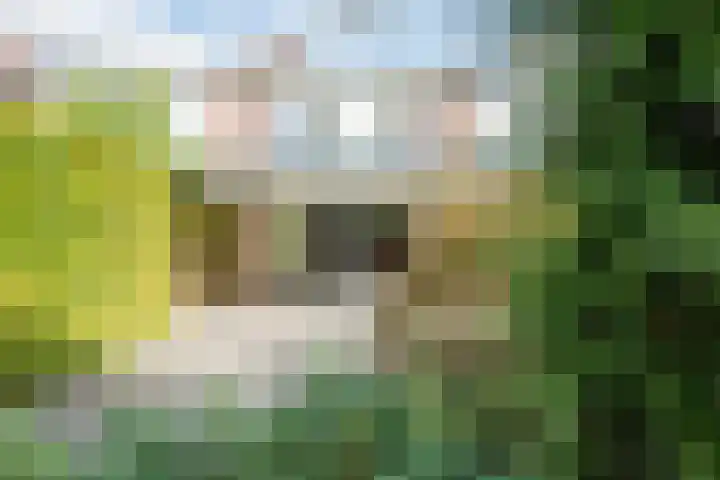 Abeelstraat 33 Echt thumbnail 23