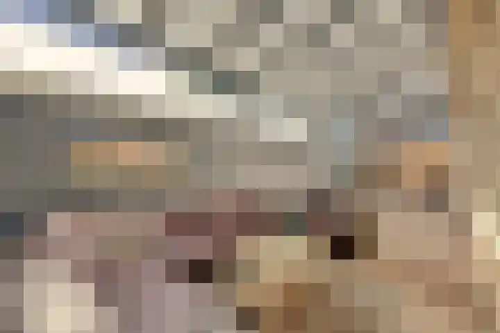 Abeelstraat 76 Winterswijk thumbnail 32