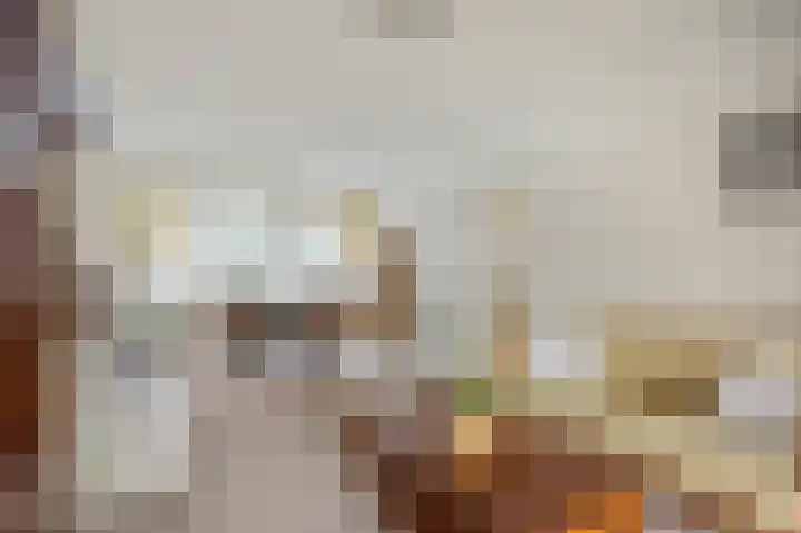 Abeelstraat 8 Echt thumbnail 10