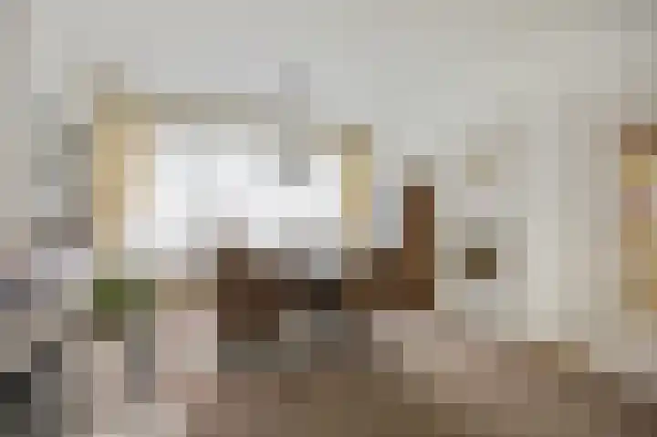 Abeelstraat 8 Echt thumbnail 13