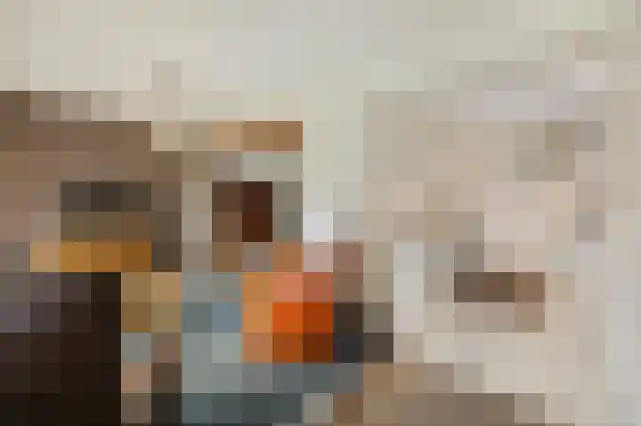 Abeelstraat 8 Echt thumbnail 17