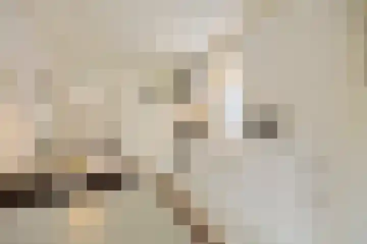 Abeelstraat 8 Echt thumbnail 18