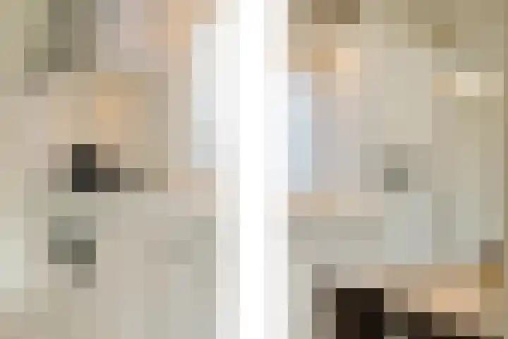 Abeelstraat 8 Echt thumbnail 21
