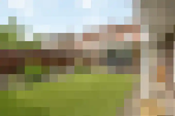 Abeelstraat 8 Echt thumbnail 35