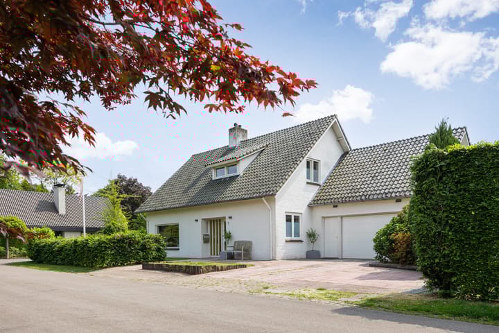 Abelenlaan 1 in Sint-Michielsgestel foto