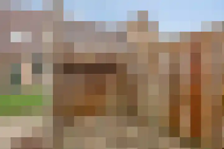 Abersland 1048 Wijchen thumbnail 31