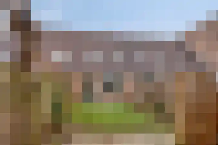 Abersland 1048 Wijchen thumbnail 32