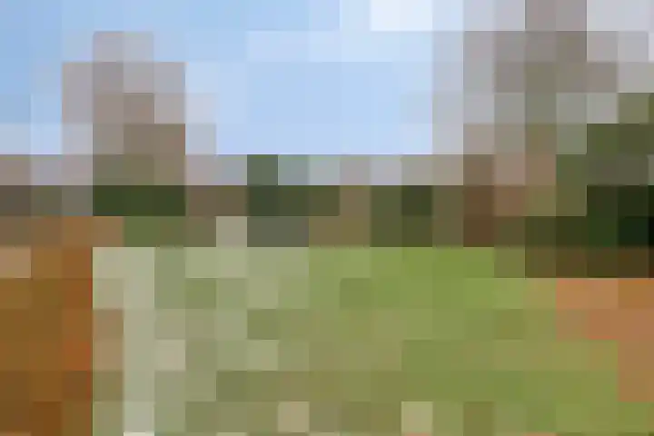 Abersland 1048 Wijchen thumbnail 34