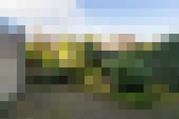 Abraham Kuyperhof 7 Drunen thumbnail 5