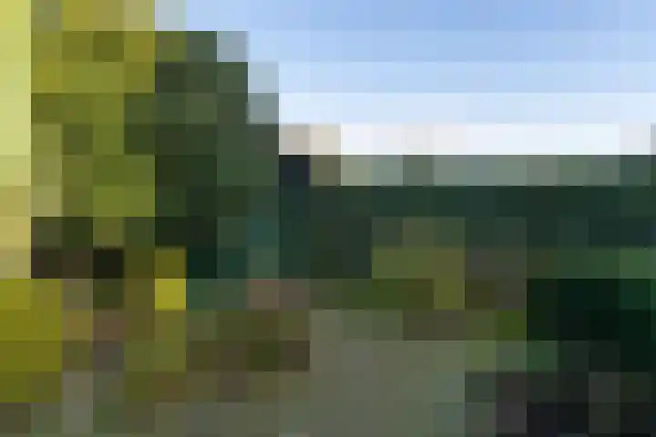 Abraham Kuyperhof 7 Drunen thumbnail 6
