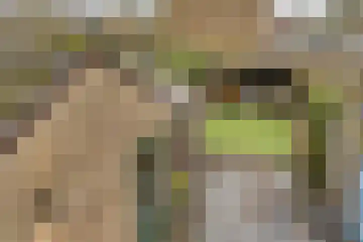 Abraham Kuyperstraat 3 Epe thumbnail 26