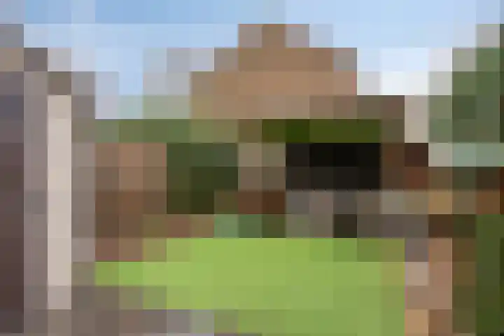 Abraham Kuyperstraat 3 Epe thumbnail 28