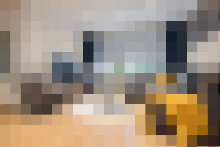 Abramsdreef 18 Veldhoven thumbnail 12