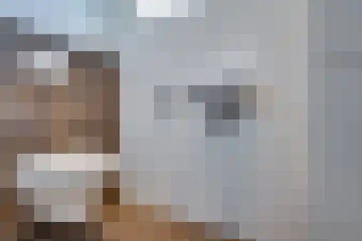 Abramsdreef 28 Veldhoven thumbnail 28