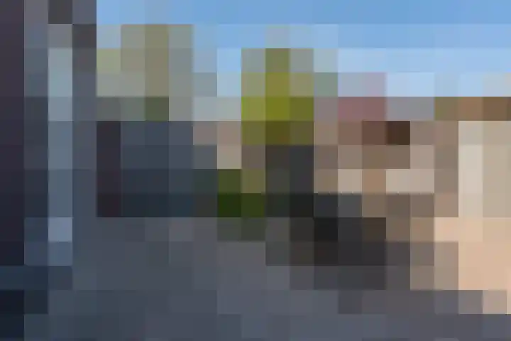 Abramsdreef 28 Veldhoven thumbnail 36