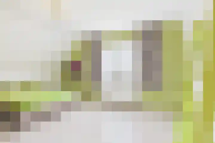 Absdaalseweg 16 Hulst thumbnail 17