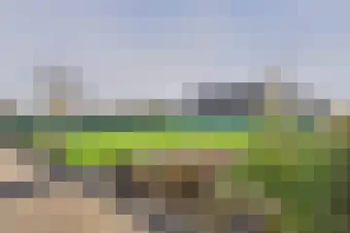 Absdaalseweg 16 Hulst thumbnail 24
