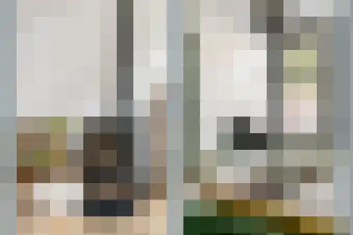 Abstederdijk 197 Utrecht thumbnail 12