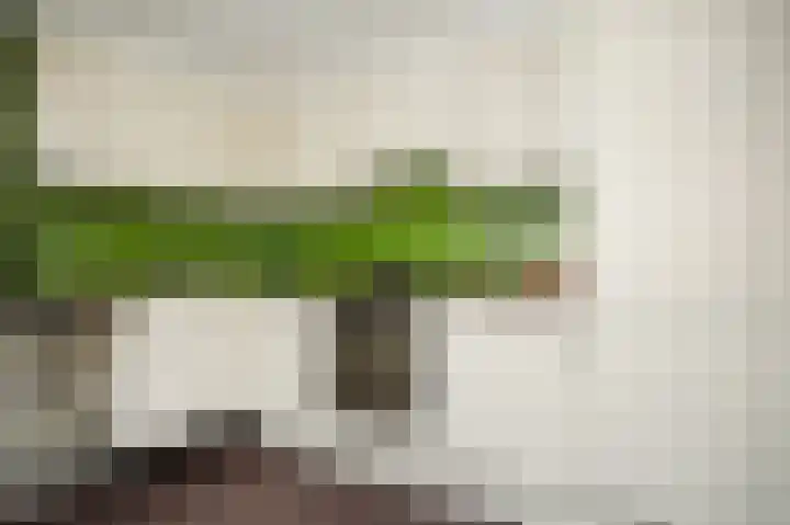 Abstederdijk 239 Utrecht thumbnail 14
