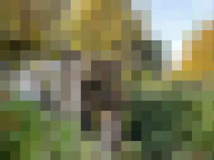 Abstederdijk 239 Utrecht thumbnail 21