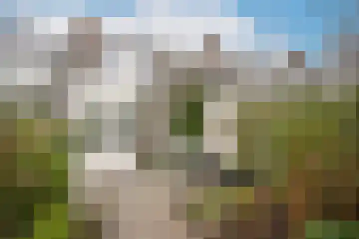 Abstederdijk 239 Utrecht thumbnail 24