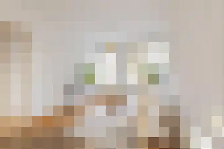 Abstederdijk 34 2 Utrecht thumbnail 11