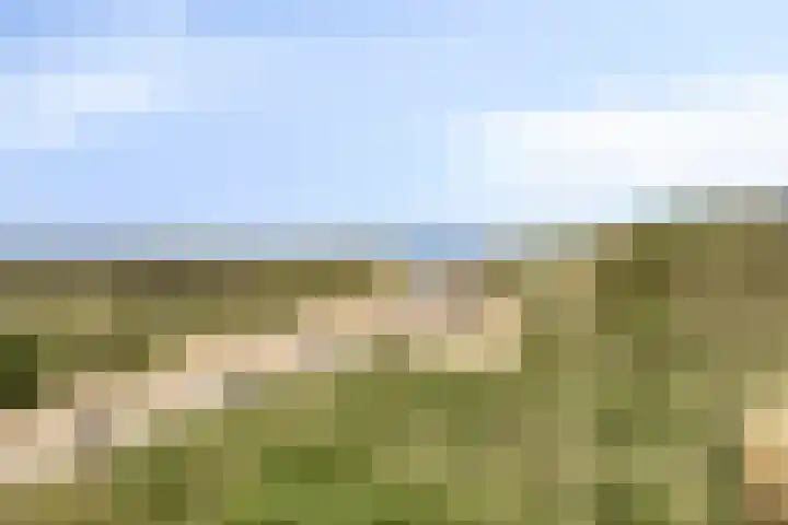 Abstederdijk 34 2 Utrecht thumbnail 17