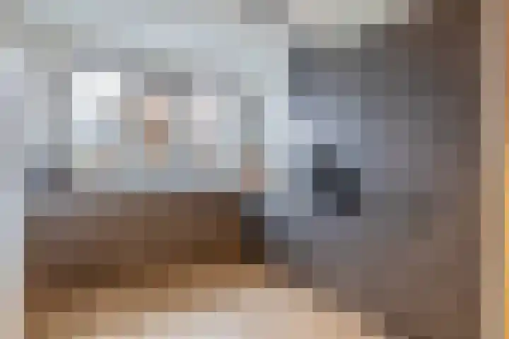 Abstederdijk 34 2 Utrecht thumbnail 23