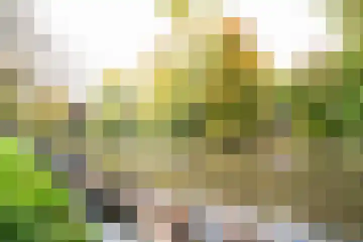 Abstederdijk 34 2 Utrecht thumbnail 33